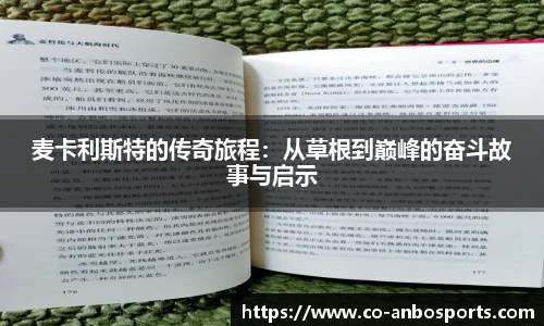 安博体育官方网站